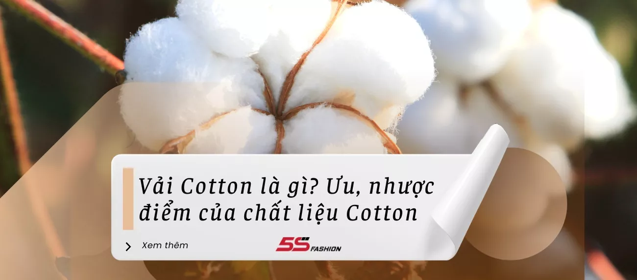 Cotton (2)